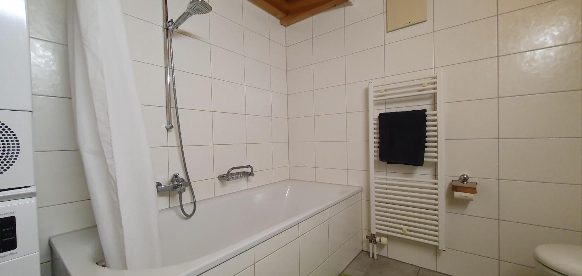 Apartment Honegg Lauterbrunnen Dış mekan fotoğraf